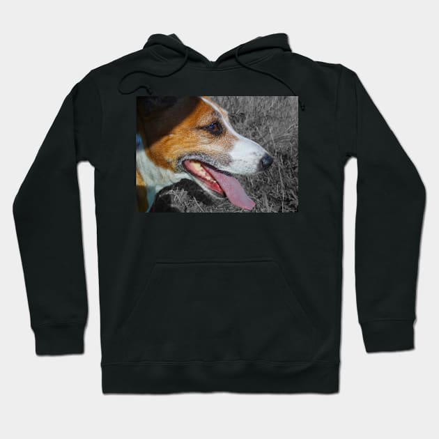 Jack Russell Terrier Hoodie by Simon-dell